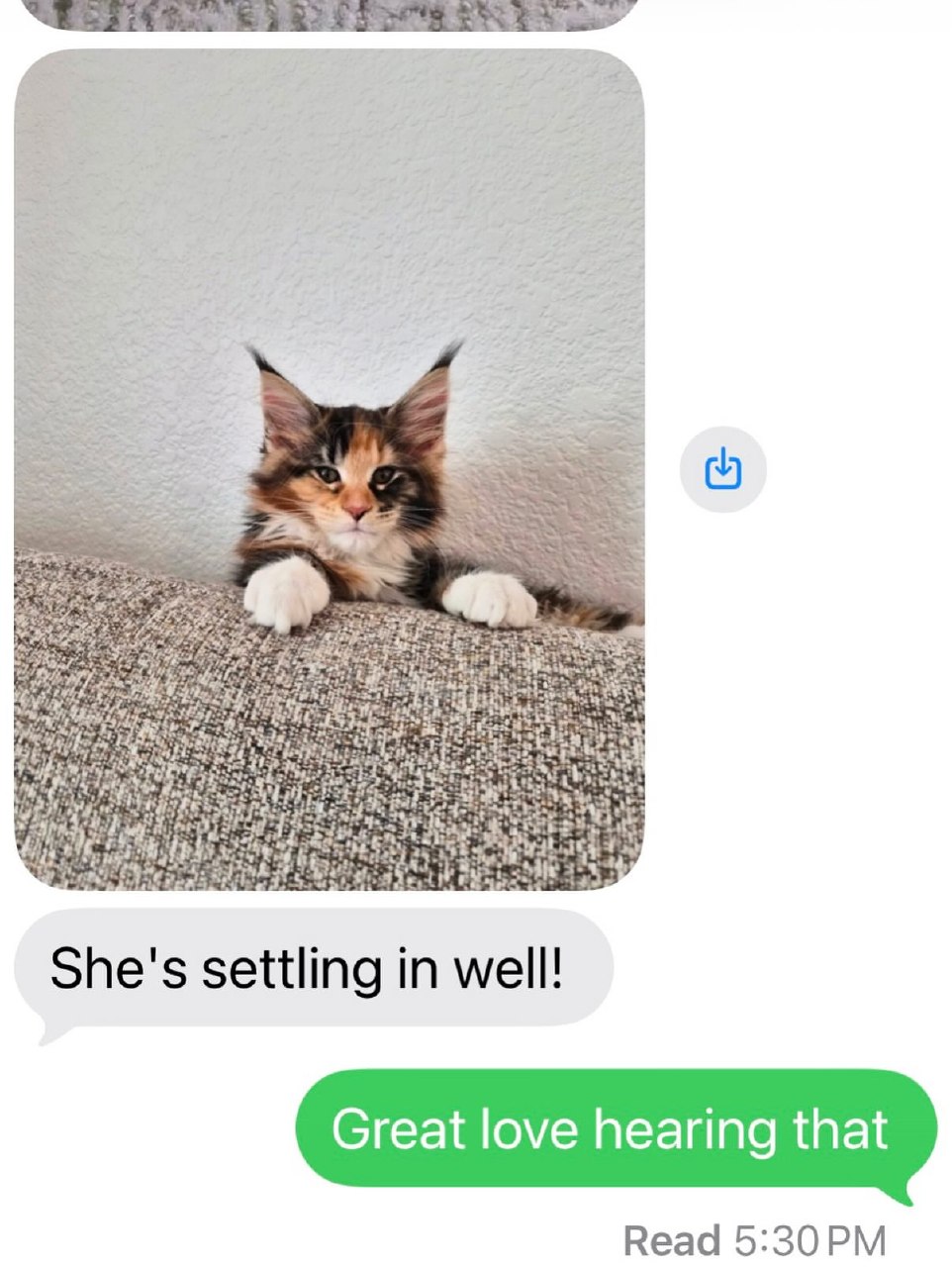 Gotcha day family update 6 for the Candace, Calhoun, Calista, Carl, and Chenoa litter