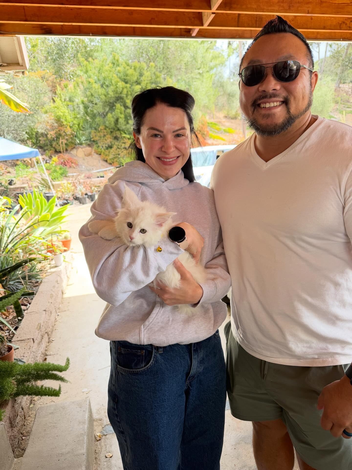 Gotcha day family update 2 for the Candace, Calhoun, Calista, Carl, and Chenoa litter