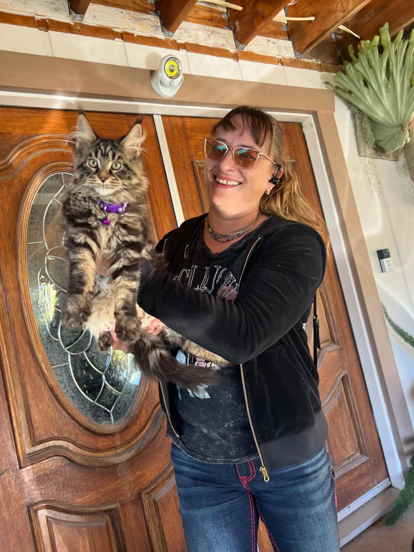 Tabbasum, a Prestigious Purr Maine Coon with their family