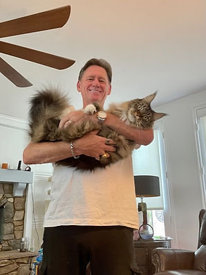 Past Prestigious Purr Maine Coon kitten 99