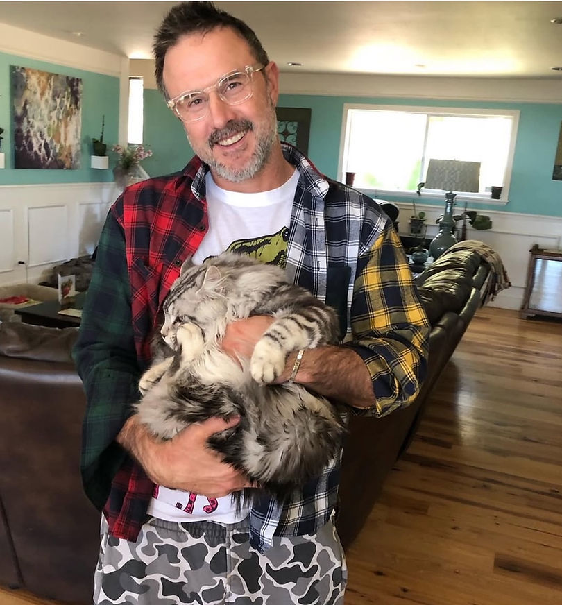Past Prestigious Purr Maine Coon kitten 3
