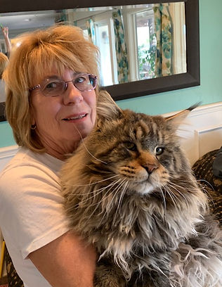 Bethanie Creteau holding a Maine Coon